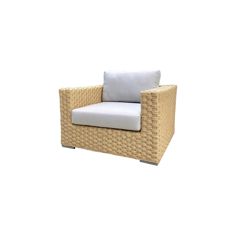 Teva Furniture Malibu Wicker Club Chair with Cushion