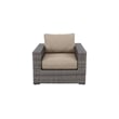 Bali Silver/Gray Two-Tone Wicker Club Chair in Wheat Cushion