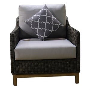 Teva Patio Furniture Napa Brown/Beige Wicker Club Chair with Silver Grey Cushion