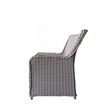 Teva Furniture Hawaii PE Wicker Gray/Off White/Beige Set Of 2 Dining Chairs