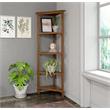 New Ridge Home Goods 4-tier Corner Traditional Wooden Bookcase in Walnut