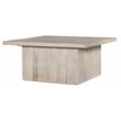 Sarah Solid Wood Storage Cocktail/Coffee Table in Brushed Ivory Finish