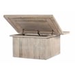 Sarah Solid Wood Storage Cocktail/Coffee Table in Brushed Ivory Finish