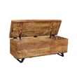 Anaheim Rockefeller Solid Wood Storage Chest in Natural