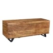 Anaheim Rockefeller Solid Wood Storage Chest in Natural