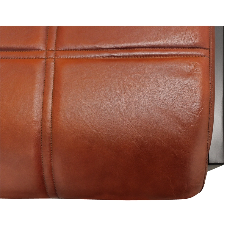 Kurtz Leather Upholstered Side Chair with Cast Iron Frame in Mahogany