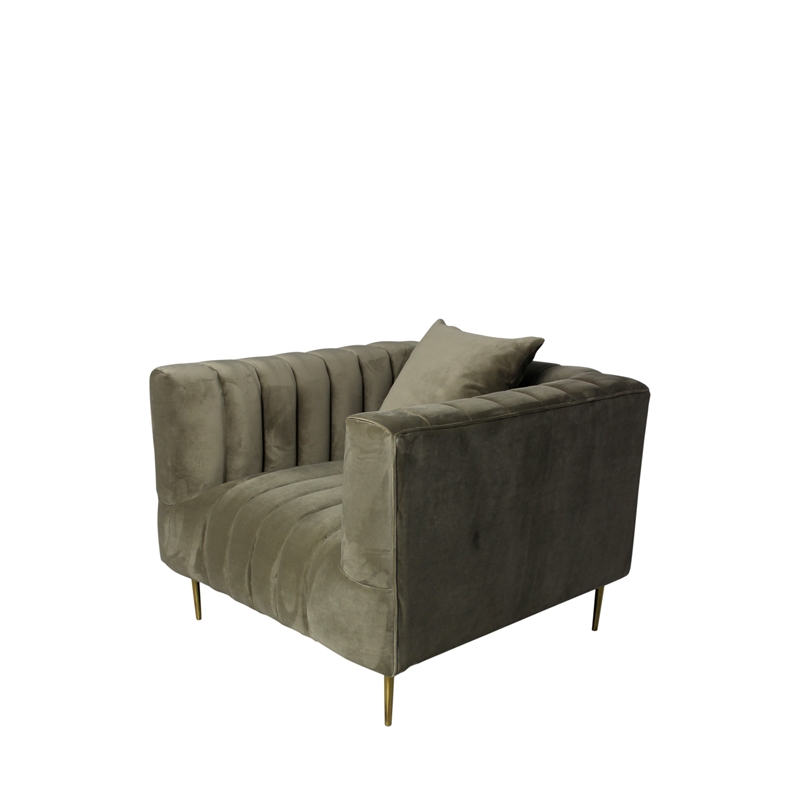 Ruth Lounge Chair with Gold Tone Metal Legs and 1 Toss Pillow in Beige Velvet