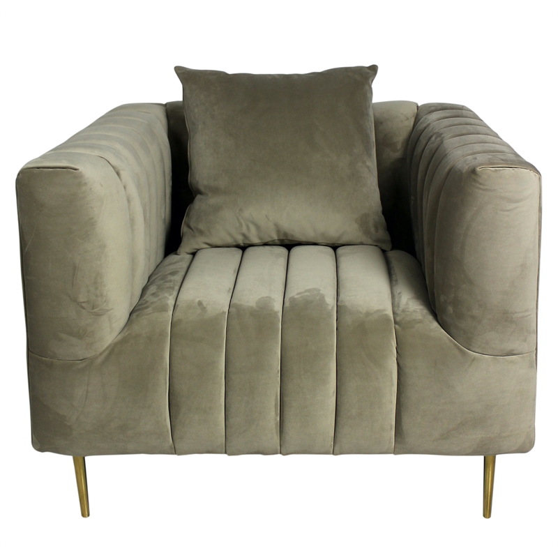 Ruth Lounge Chair with Gold Tone Metal Legs and 1 Toss Pillow in Beige Velvet