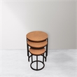 Rane Nesting 3-Table Set in Copper Metal-Cladded Round Top