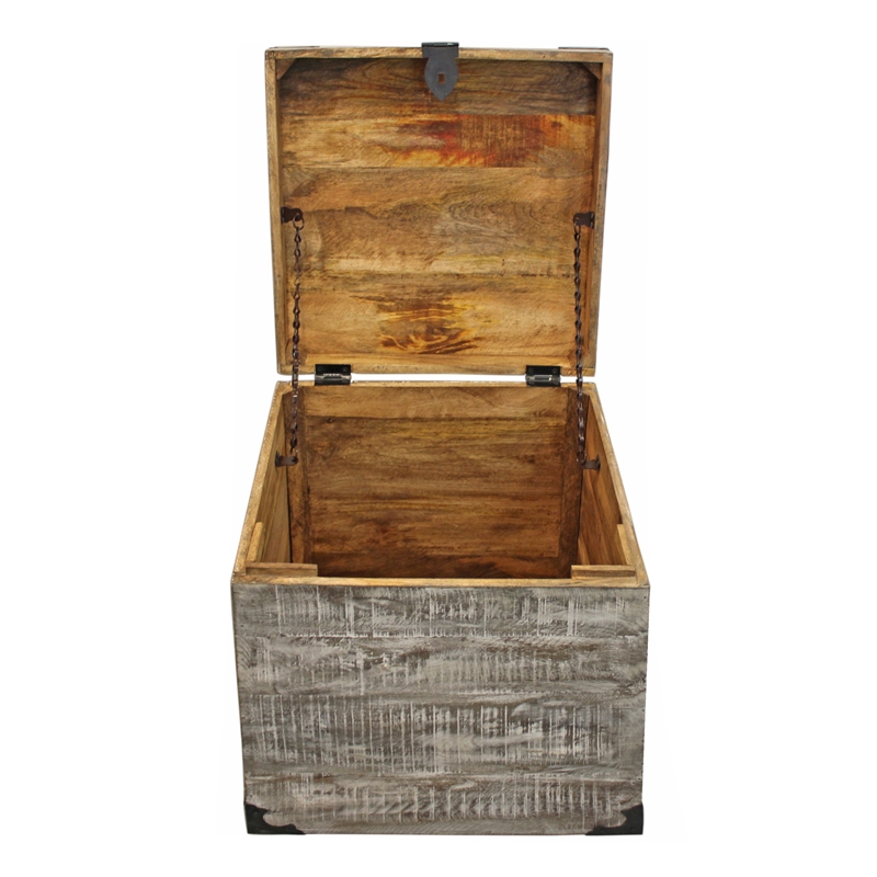 Golden Mateo Solid Wood Trunk End Table in Gray