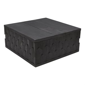 Onyx Storage Cocktail Table in Dark Gray on Mango Solid Wood