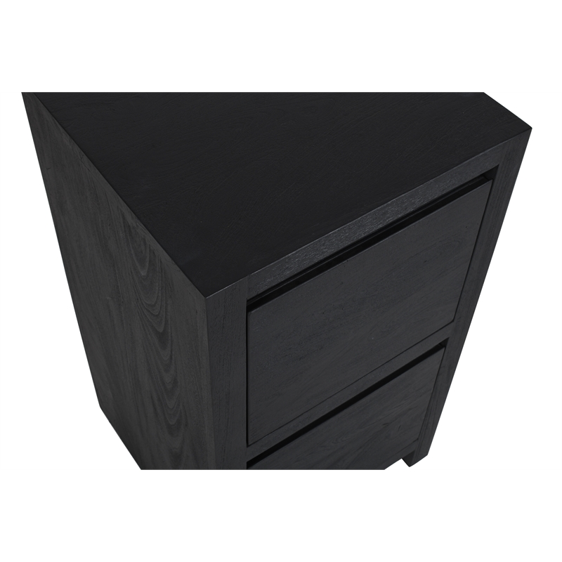 Argyle 2-Drawer File Cabinet Modern Graphite Black Finish Reclaimed Solid Wood