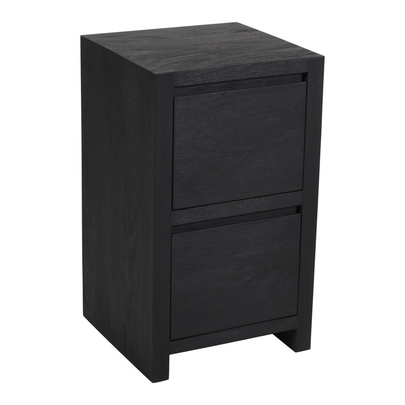 Argyle 2-Drawer File Cabinet Modern Graphite Black Finish Reclaimed Solid Wood