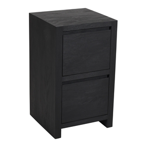 Argyle 2-Drawer File Cabinet Modern Graphite Black Finish Reclaimed Solid Wood
