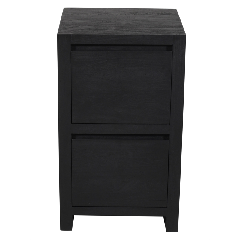 Argyle 2-Drawer File Cabinet Modern Graphite Black Finish Reclaimed Solid Wood