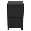 Argyle 2-Drawer File Cabinet Modern Graphite Black Finish Reclaimed Solid Wood