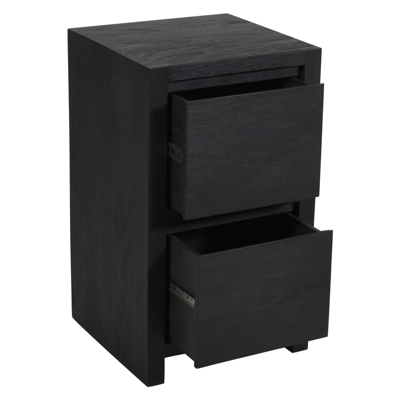 Argyle 2-Drawer File Cabinet Modern Graphite Black Finish Reclaimed Solid Wood