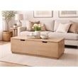 Argyle Storage Bench/Cocktail Table in Modern Light Ash Ivory Finish on Reclaimed Solid Wood