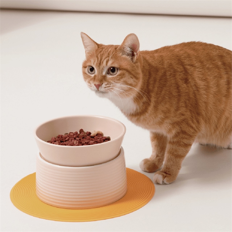 macaron cat bowls