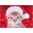 Safdie & Co. Cushion Xmas Sherpa Reversible Festive Kitty