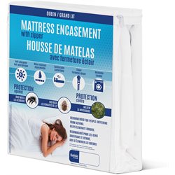 Bedding Basics