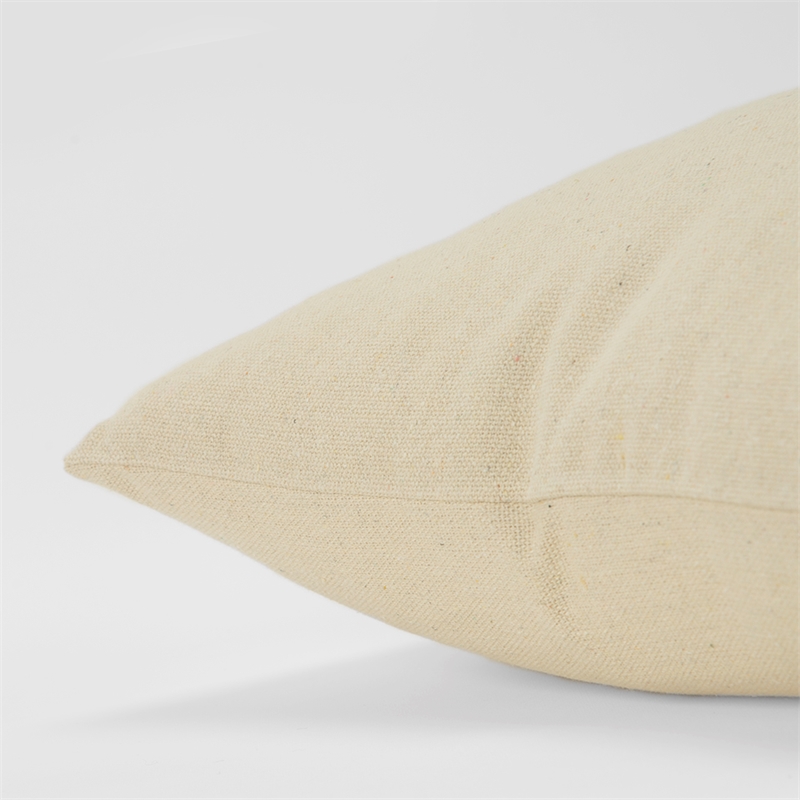 Rizzy Home Sentiment 20