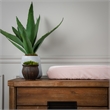 Rizzy Home Velvet 16