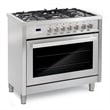 36 in. Stellar Collection 3.8 cu. ft. Dual Fuel Range in Stainless Steel