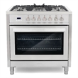 36 in. Stellar Collection 3.8 cu. ft. Dual Fuel Range in Stainless Steel