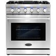30 in. Haven Coll 4.8 cu. ft. Gas Range in Stainless Steel