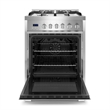 24 in. Nebula Collection 2.73 cu. ft. Gas Range in Stainless Steel
