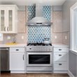 36 in. Nebula Collection 3.8 cu. ft. Gas Range in Stainless Steel