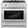 36 in. Nebula Collection 3.8 cu. ft. Gas Range in Stainless Steel