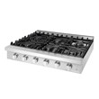 36 in. Slide-In Counter Gas Cooktop with 6 Sealed Italian Burners