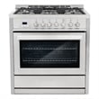 36 in. Stellar Collection 3.8 cu. ft. Dual Fuel Range with Convection Oven