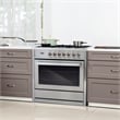 36 in. Stellar Collection 3.8 cu. ft. Dual Fuel Range with Convection Oven