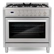 36 in. Nebula Collection 3.8 cu. ft. Gas Range in Stainless Steel