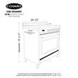 36 in. Nebula Collection 3.8 cu. ft. Gas Range in Stainless Steel