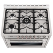 36 in. Nebula Collection 3.8 cu. ft. Gas Range in Stainless Steel