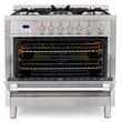 36 in. Nebula Collection 3.8 cu. ft. Gas Range in Stainless Steel