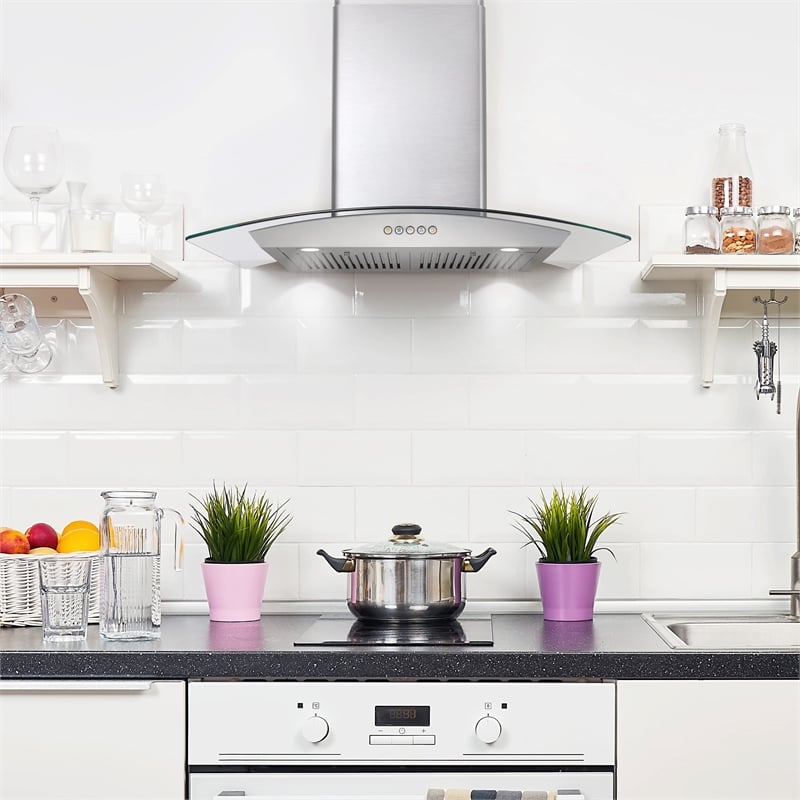30 in. Vista Collection Ducted Wall Mount Range Hood in Stainless Steel