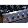 30 in. Haven Collection 4.8 cu. ft. 5 Sealed Burners Gas Range - Liquid Propane