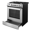 30 in. Nebula Collection 5.0 cu. ft. 5 burner Gas Range in Stainless Steel