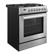30 in. Nebula Collection 5.0 cu. ft. 5 burner Gas Range in Stainless Steel