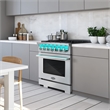 36 in. Vista Coll 4.5 cu. ft. 6 Burner Gas Range in Stainless Steel