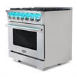 36 in. Vista Coll 4.5 cu. ft. 6 Burner Gas Range in Stainless Steel