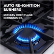 36 in. Vista Coll 4.5 cu. ft. 6 Burner Gas Range in Stainless Steel