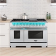 48 in. Vista Collection 6.6 cu. ft. Double Oven Gas Range in Stainless Steel