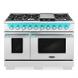 48 in. Vista Collection 6.6 cu. ft. Double Oven Gas Range in Stainless Steel