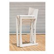 Pangea Home Sunset Aluminum Patio Directors Chairs in White (Set of 2)